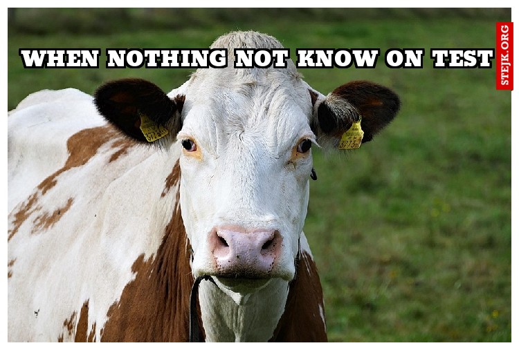 when nothing not know on test
