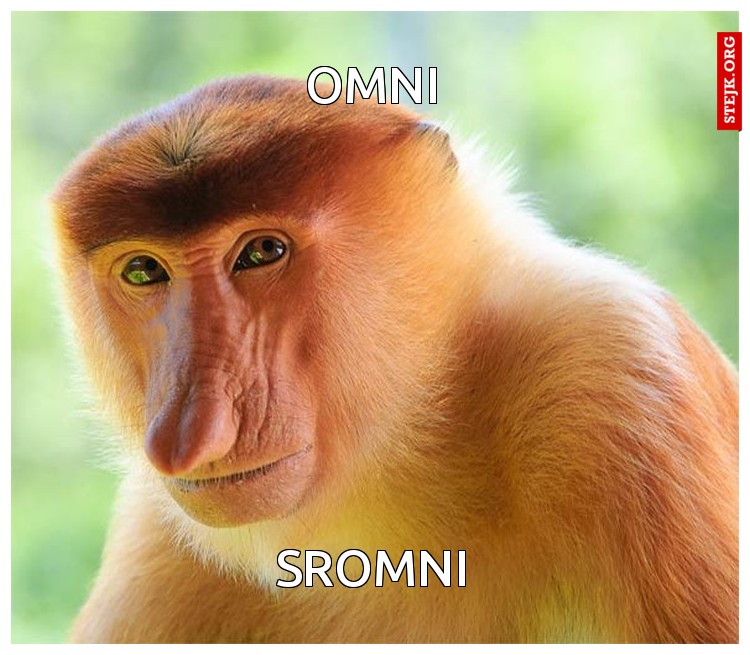 omni