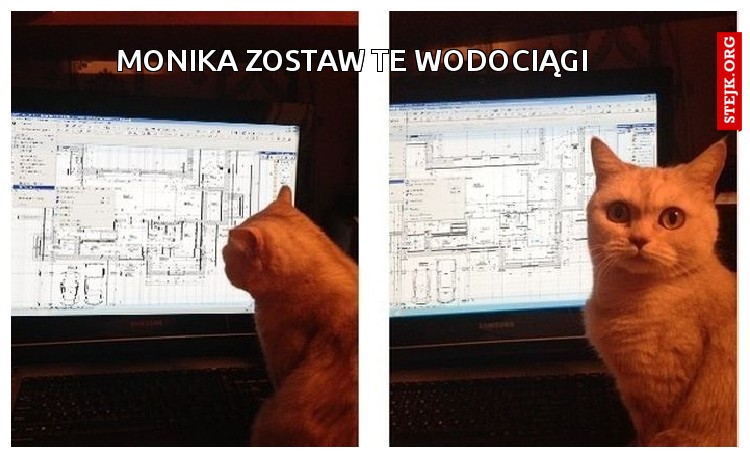 MonikA zostaw TE Wodociągi