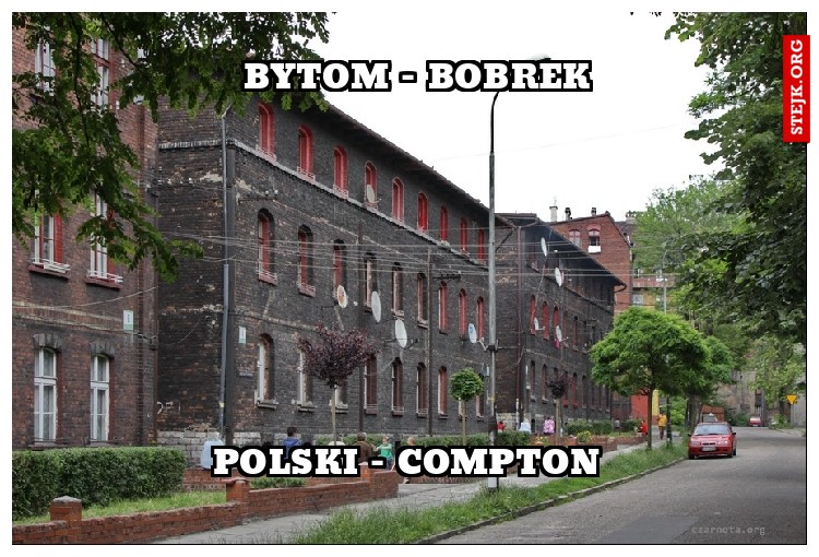 bytom - bobrek