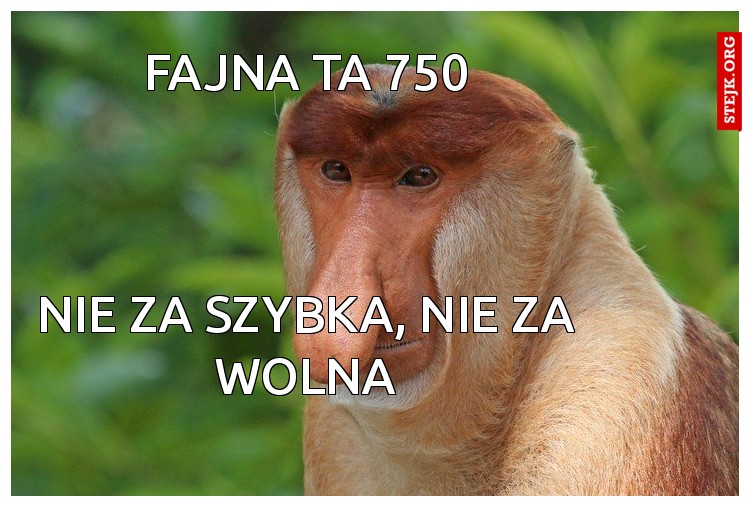 fajna ta 750