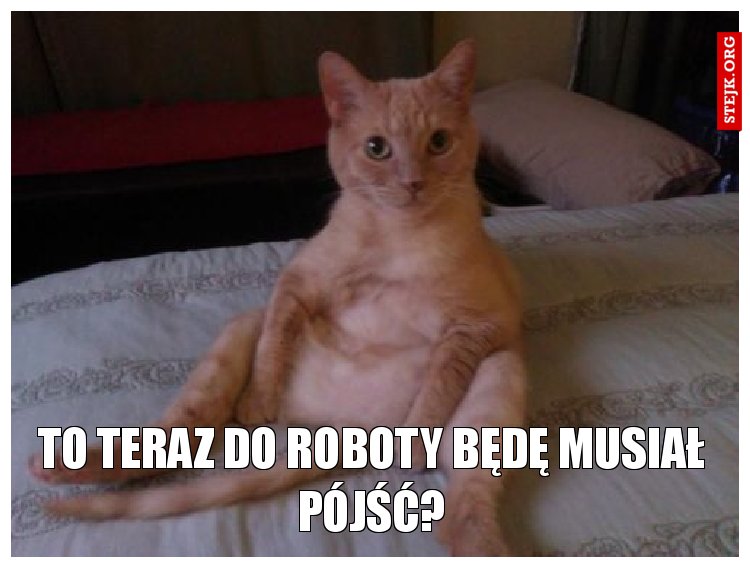 To teraz do roboty będę musiał pójść?