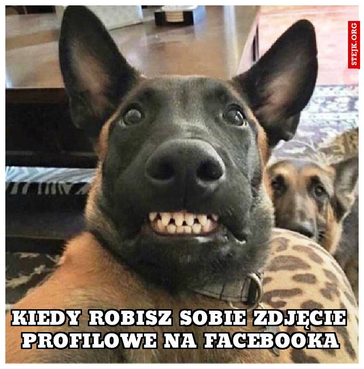 Kiedy  robisz  sobie  zdjęcie  profilowe  na  facebooka