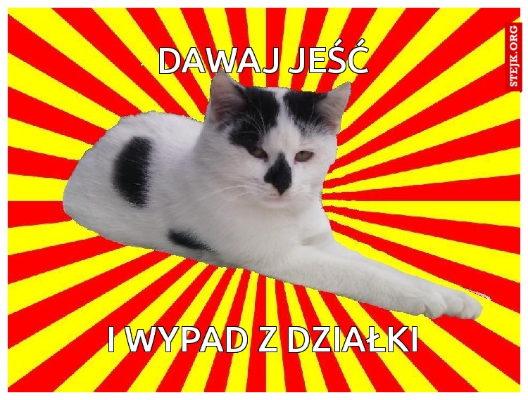 DAWAJ JEŚĆ