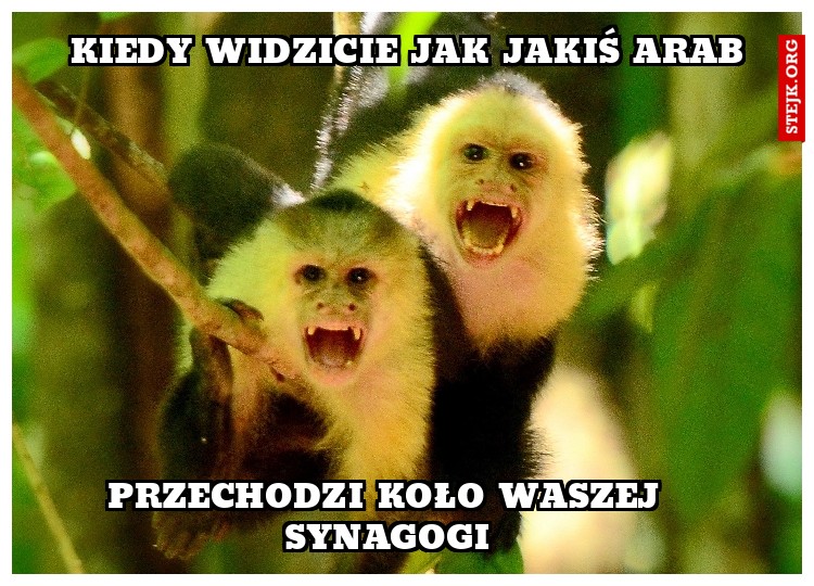 kiedy widzicie jak jakiś arab