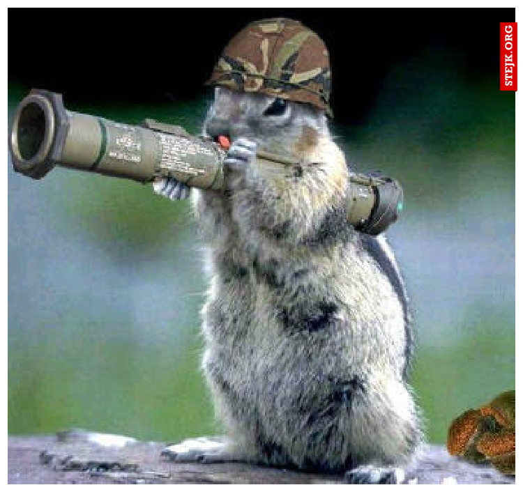 Działo