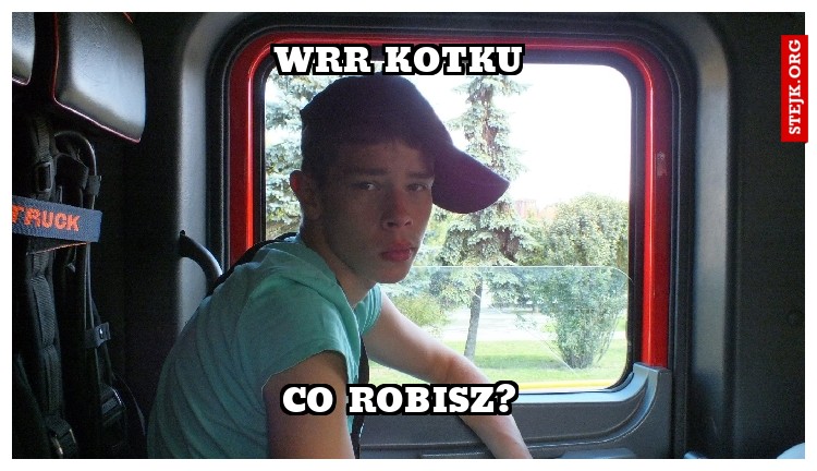 wrr kotku 