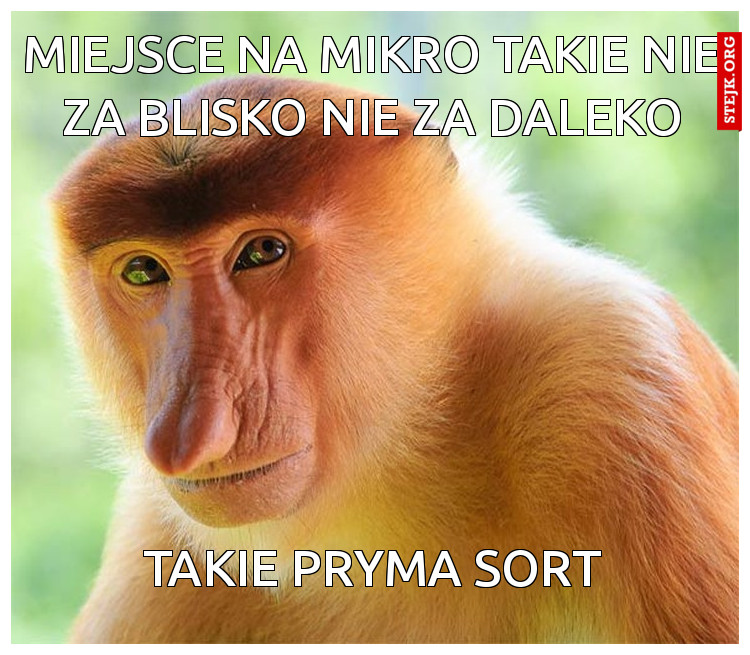 miejsce na mikro takie nie za blisko nie za daleko