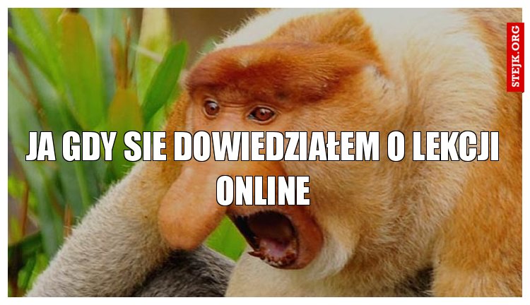 ja gdy sie dowiedziałem o lekcji online
