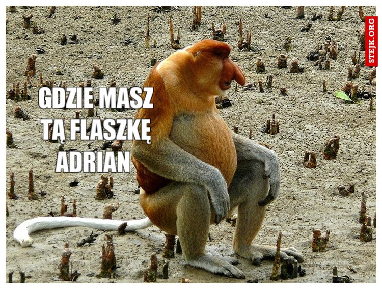 Gdzie masz tą flaszkę Adrian 