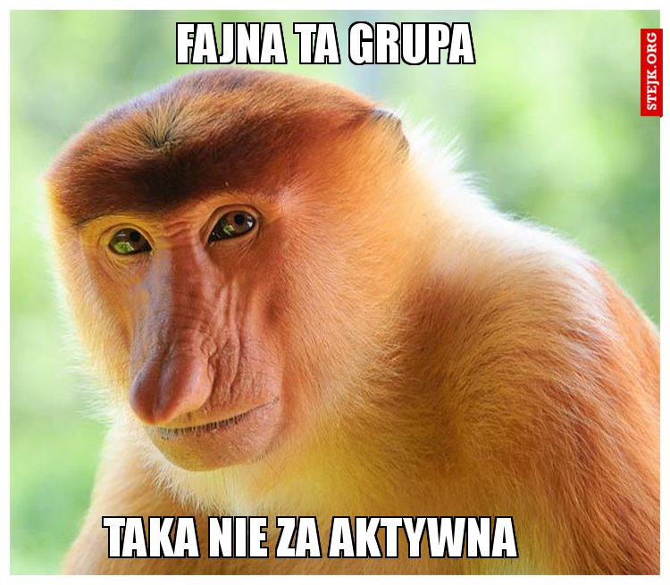Fajna ta grupa 