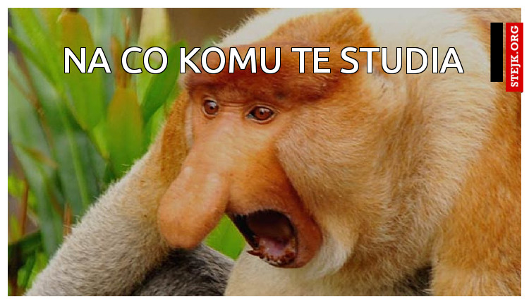 nA CO KOMU TE STUDIA