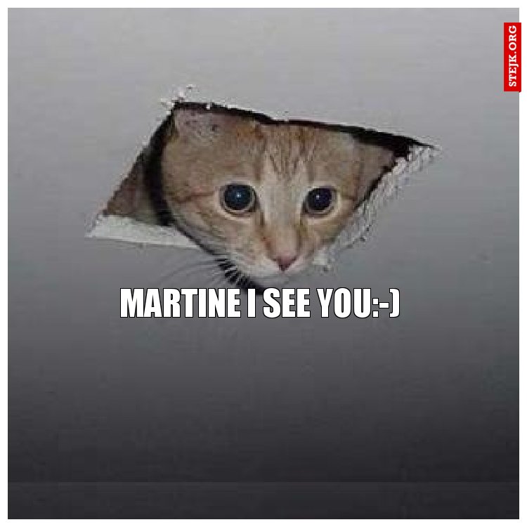Martine i see you:-)