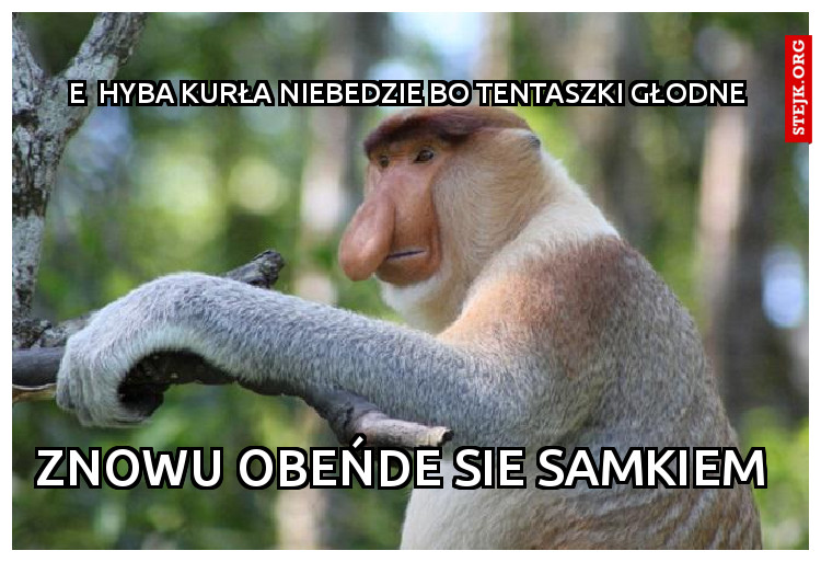 e  hyba kurła niebedzie bo tentaszki głodne