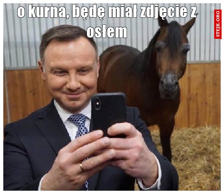 o kurna, będę miał zdjęcie z osłem