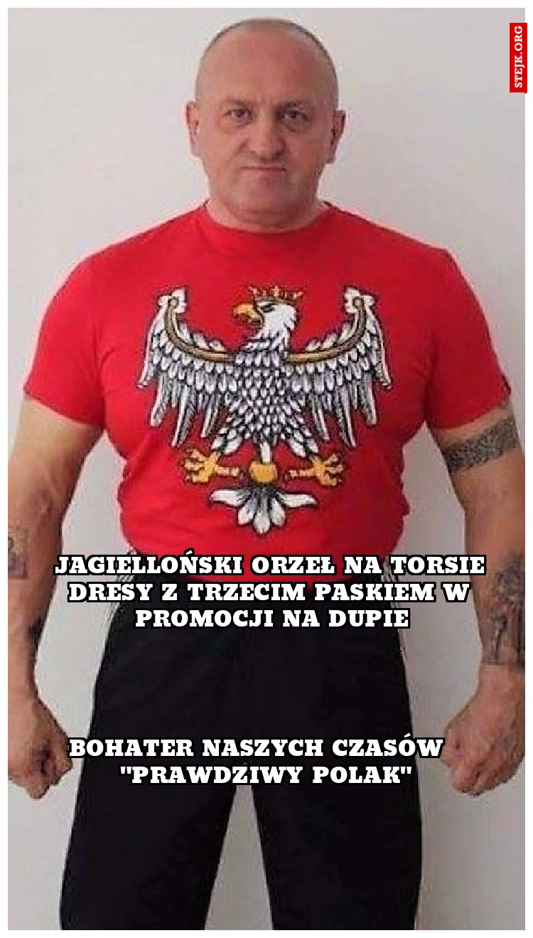 jagielloński orzeł na torsie dresy z trzecim paskiem w promocji na dupie