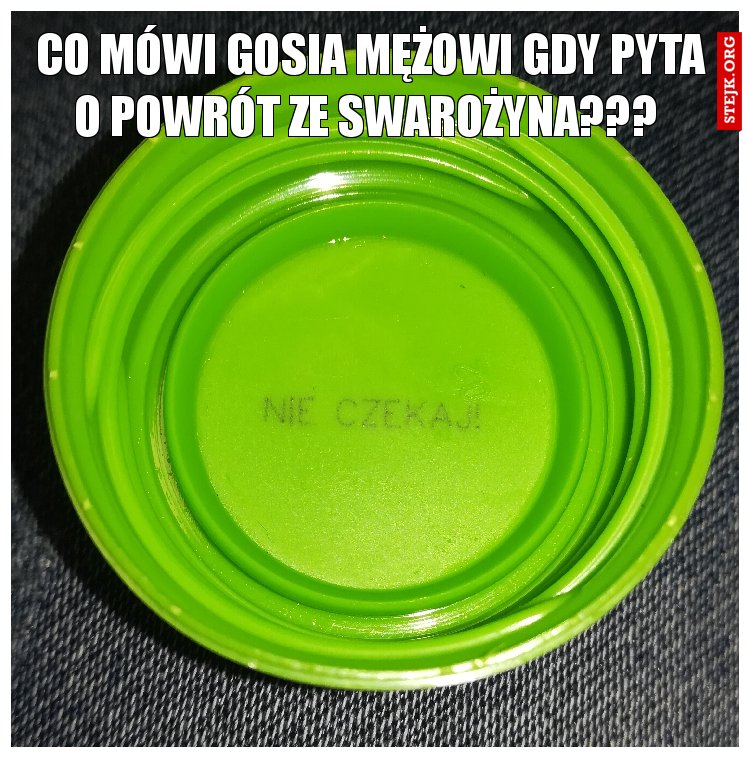 Co mówi Gosia mężowi gdy pyta o powrót ze Swarożyna??? 
