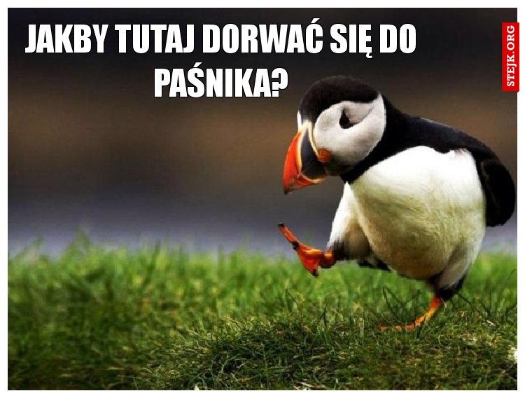 Jakby tutaj dorwać się do paśnika?