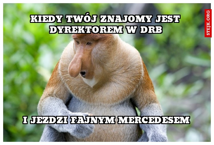 Kiedy twój znajomy jest Dyrektorem w DRB