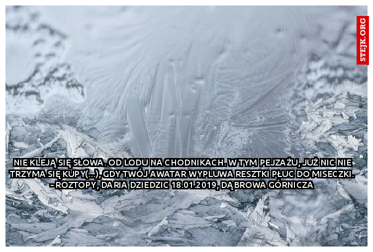 Nie kleją się słowa. Od lodu na chodnikach. W tym pejzażu, już nic nie trzyma się kupy(...), gdy twój awatar wypluwa resztki płuc do miseczki. - Roztopy, Daria Dziedzic 18.01.2019, Dąbrowa Górnicza