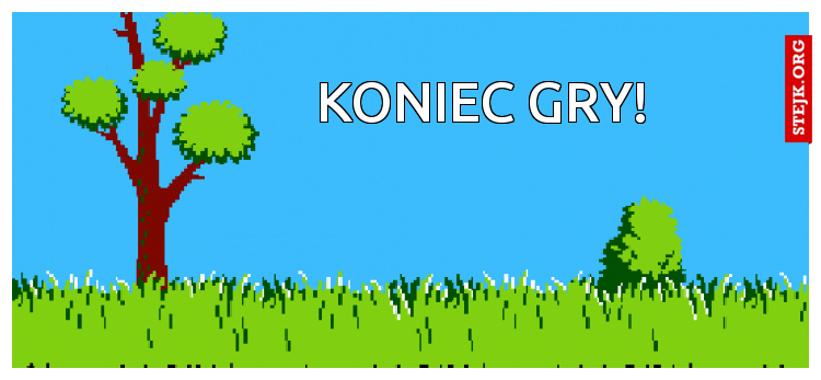 Koniec gry!