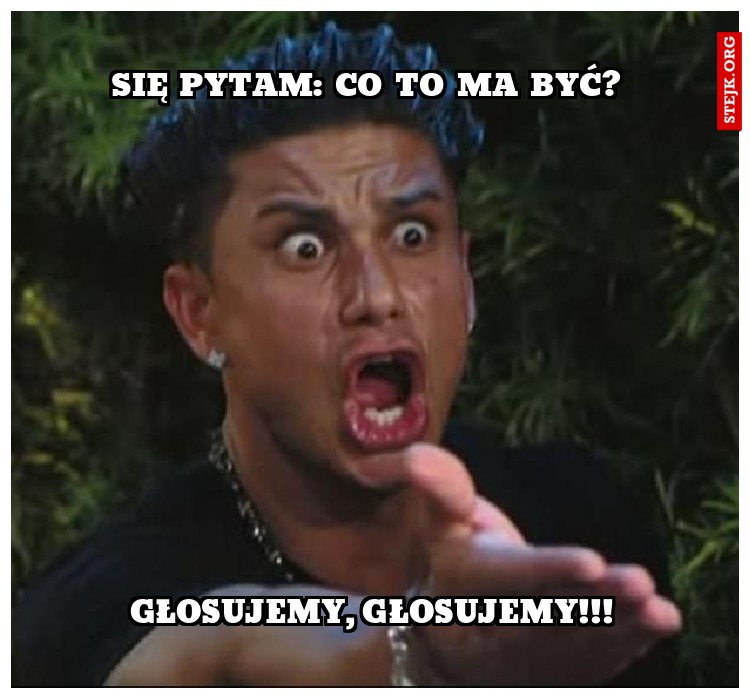 głosujemy, głosujemy!!!