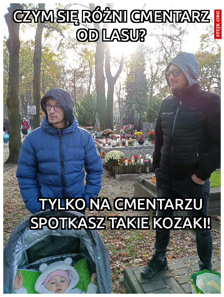 Czym się różni cmentarz od lasu?