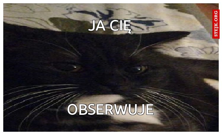 jA CIĘ