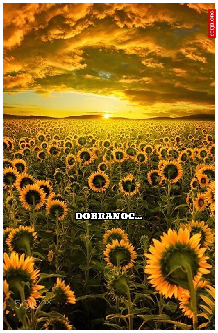 dobranoc...