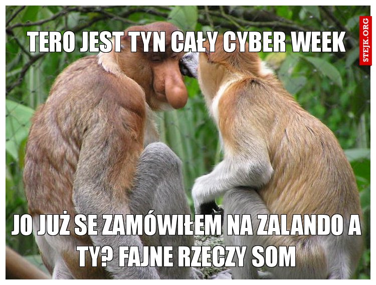 TERO JEST TYN CAŁY CYBER week