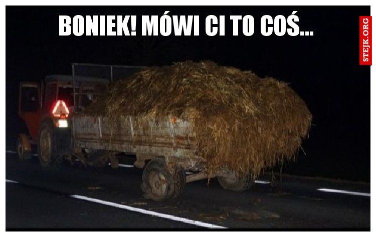 Boniek! Mówi ci to coś...