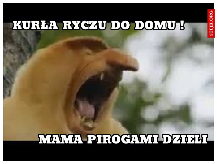 Kurła Ryczu do domu !