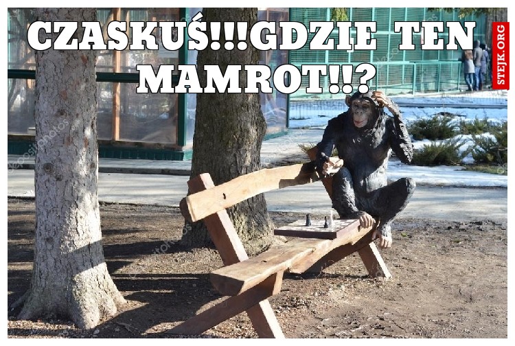 czaskuś!!! gdzie  ten mamrot?!!