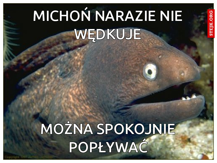 Michoń narazie nie wędkuje