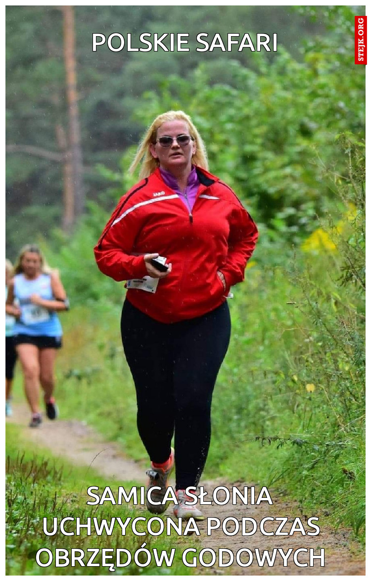 Polskie safari