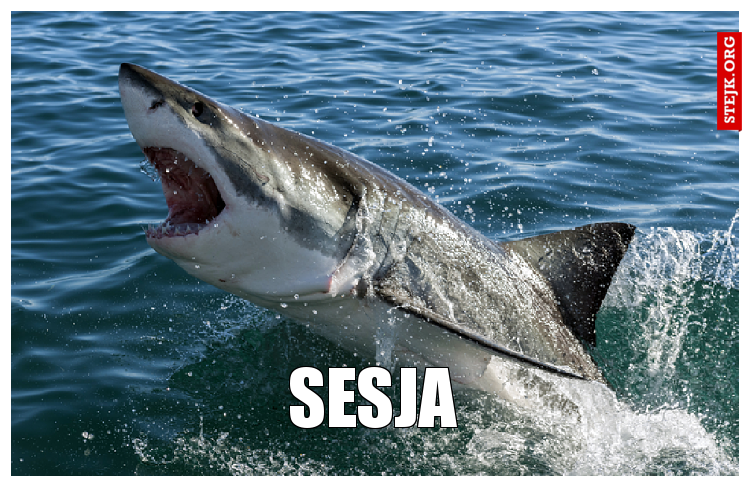 sEsJA