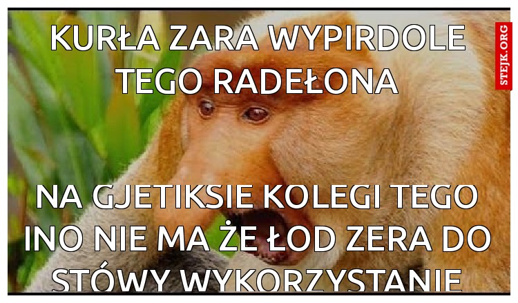Kurła zara wypirdole tego RADEŁONA