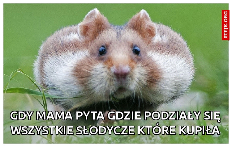 Gdy mama pyta gdzie podziały się wszystkie słodycze które kupiła