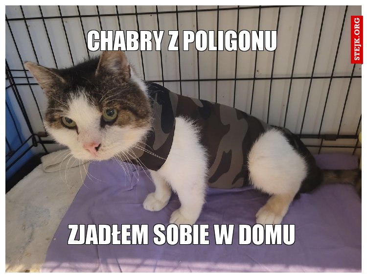 chabry Z poligonu