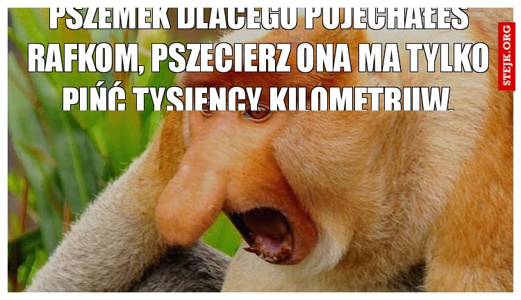 pszemek dlacego pojechałeś rafkom, pszecierz ona ma tylko pińć tysiency kilometruw.