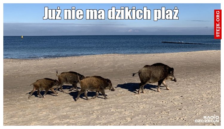 Już nie ma dzikich plaż