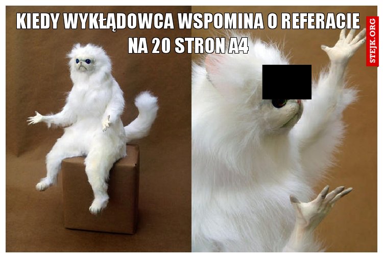 kiedy wykłądowca wspomina o referacie na 20 stron a4