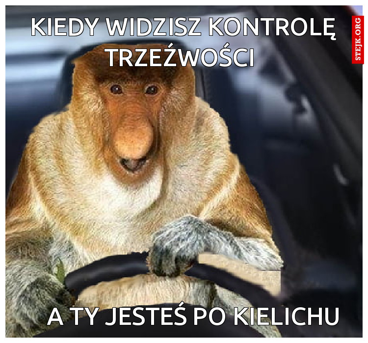 Kiedy widzisz kontrolę trzeźwości 