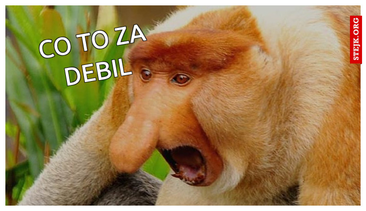 Co to za debil