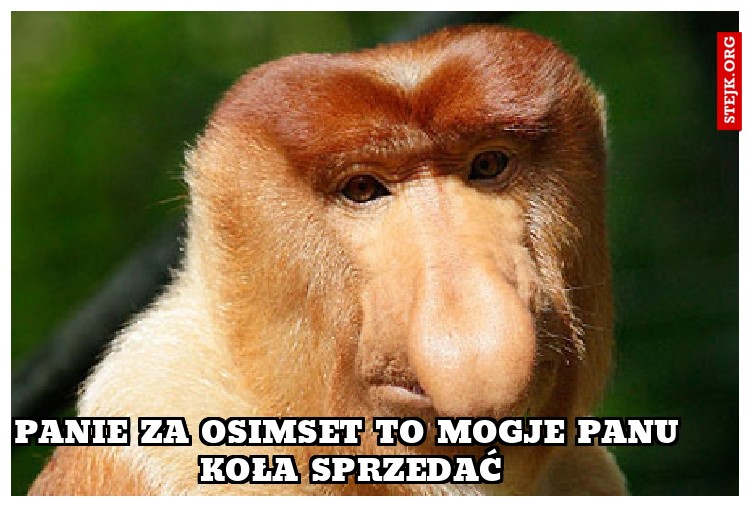 Panie za osimset to mogje Panu koła sprzedać