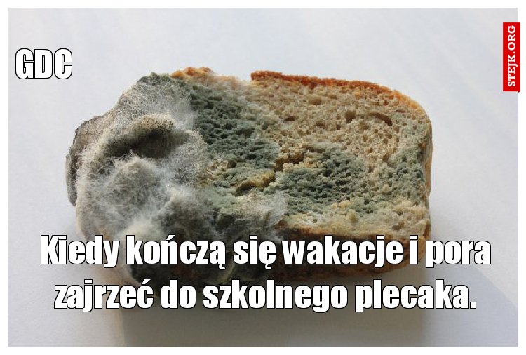 Kiedy kończą się wakacje i pora zajrzeć do szkolnego plecaka.