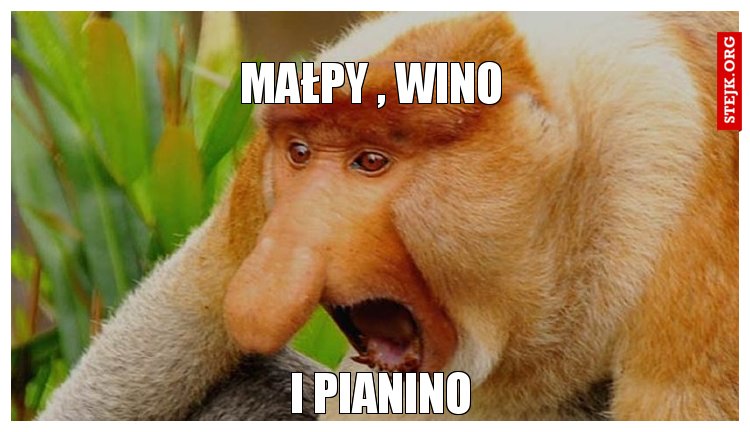 małpy , wino