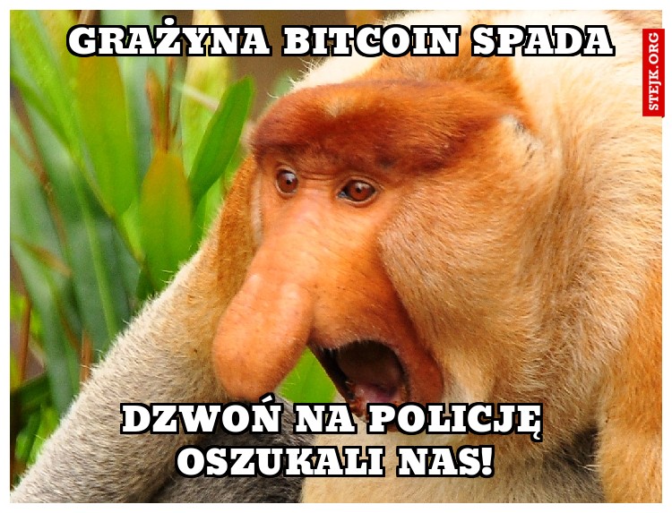 Grażyna bitcoin spada