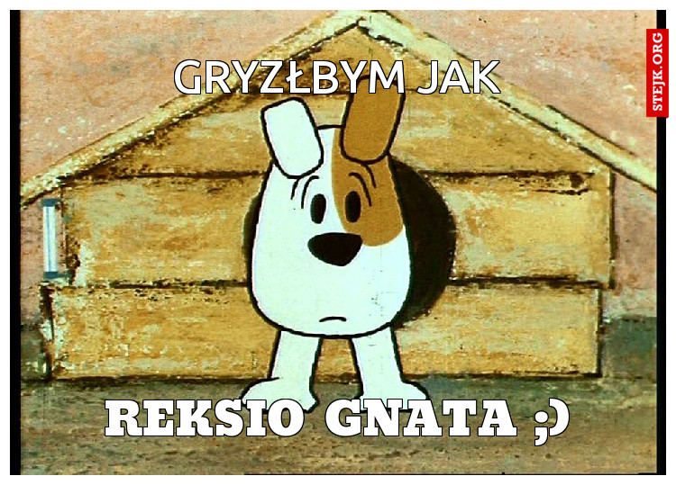 GRYZŁBYM JAK