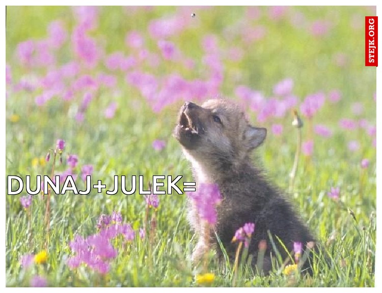 dunaj julek=